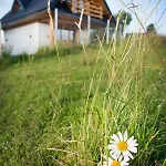 Z Jacuzzi Tatrzańskie Serce *
